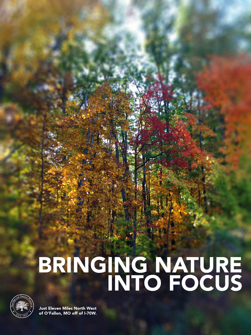 Bringing Nature Into Focus Full Page