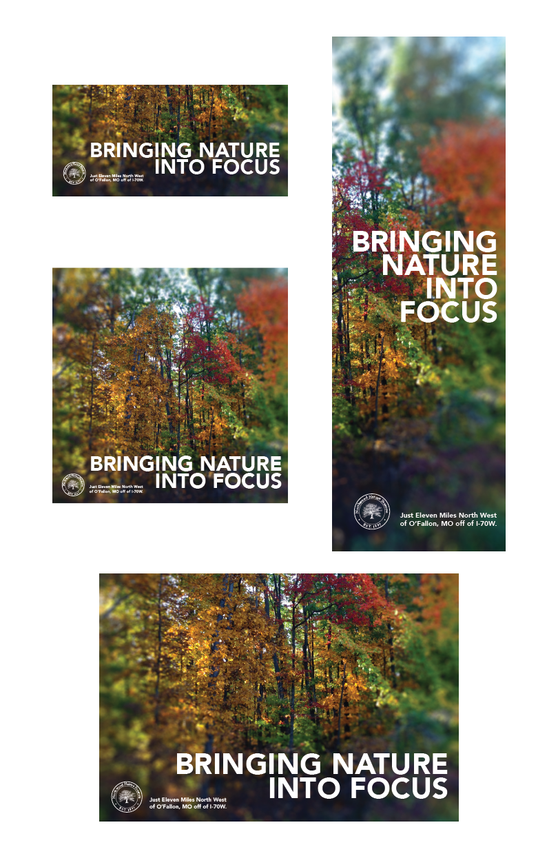 Bringing Nature Into Focus Set